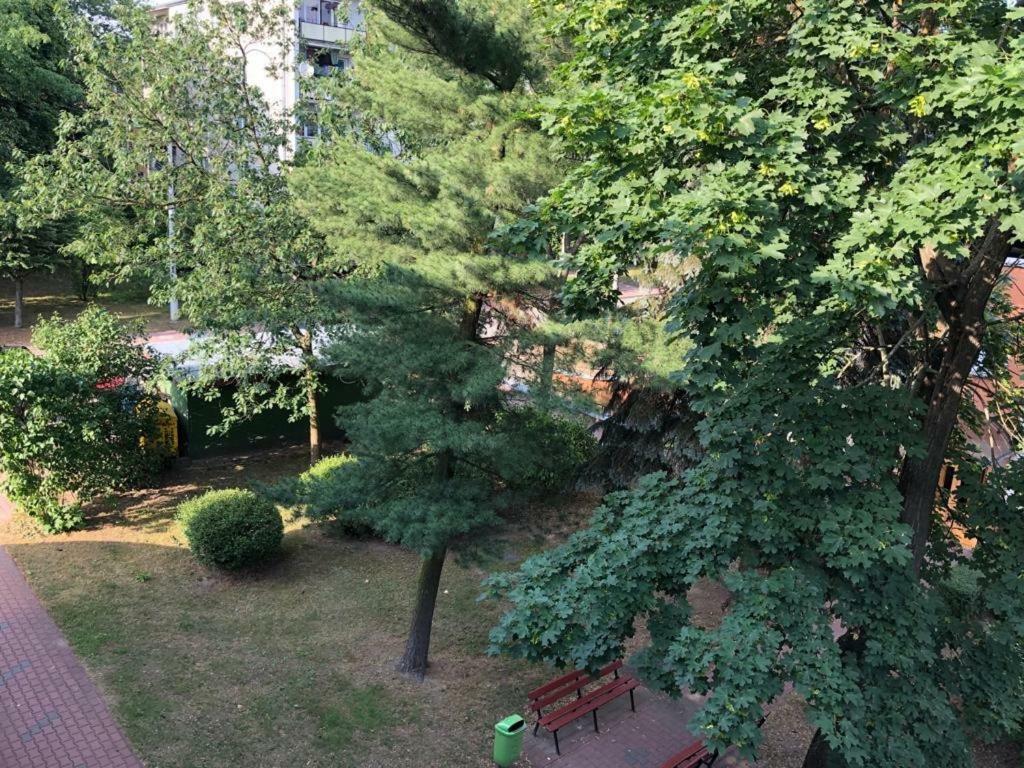 Chrobrego 269 Apartment Biala Podlaska Luaran gambar